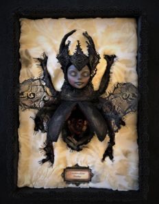 shadow box mixed media assemblage leather sculpted beetle by artist Stefanie Vega