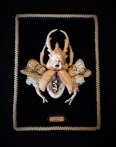 shadow box mixed media assemblage crying baby paper, teeth and lace sculpted beetle by artist Stefanie Vega