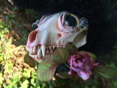 long-hanging artdoll fantasy beast doll with painted racoon skull, curly black mohair fur covered body silk rose in teeth