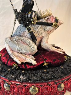 side-view mixed media striped miniature gothic circus performer rides a lace-covered vintage toy frog with a crown made of teeth on fabric and fringe decorated wooden platform