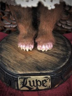 close-up of werewolf artdoll fur-covered legs and feet with jagged ragged yellow toenails