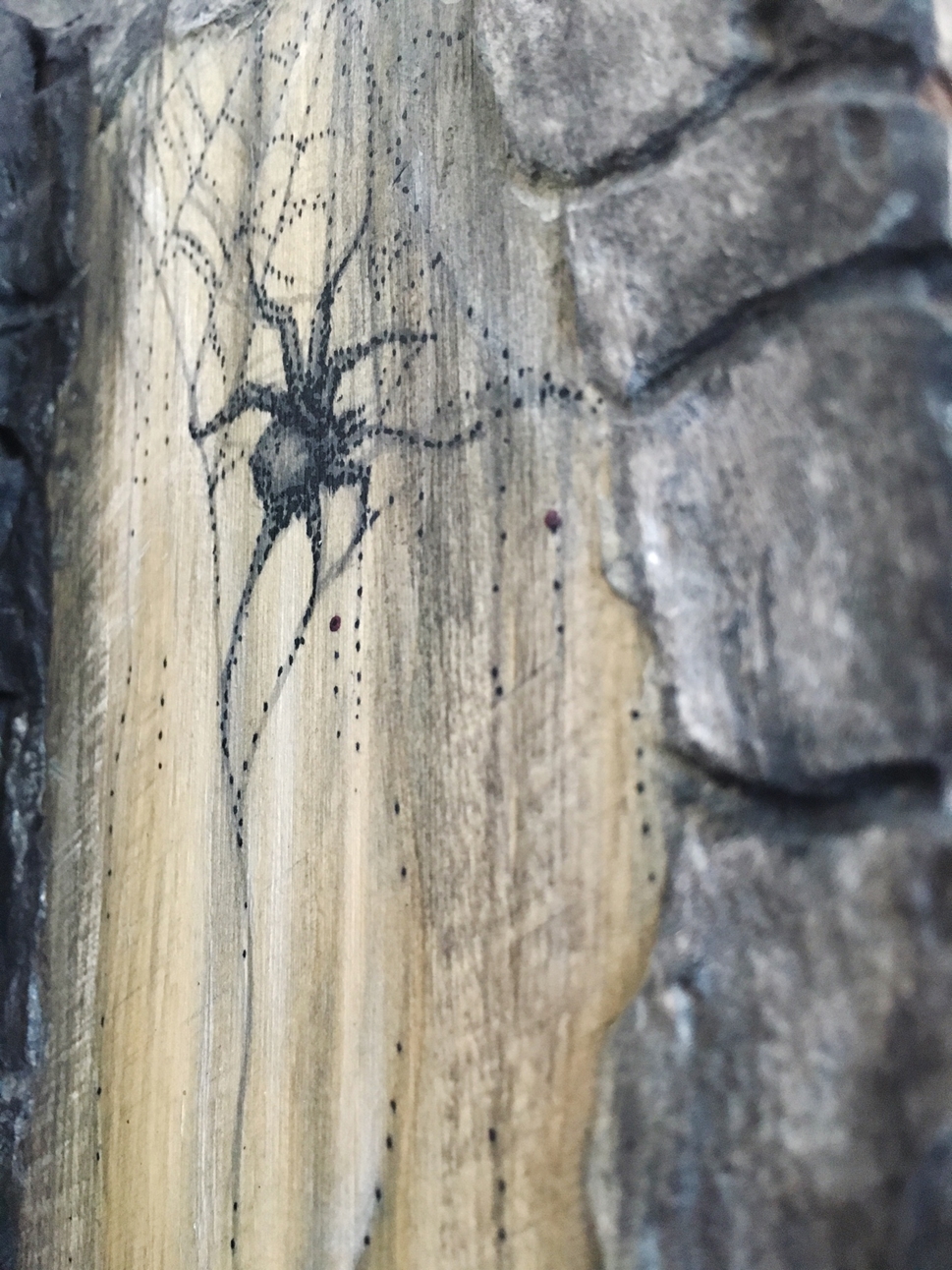 close-up painted spider on wood with paperclay stones