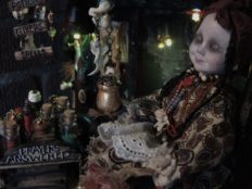 close-up of Mixed Media Taxidermy Nightlight Assemblage of an old woman doll peddlar of potions and spells