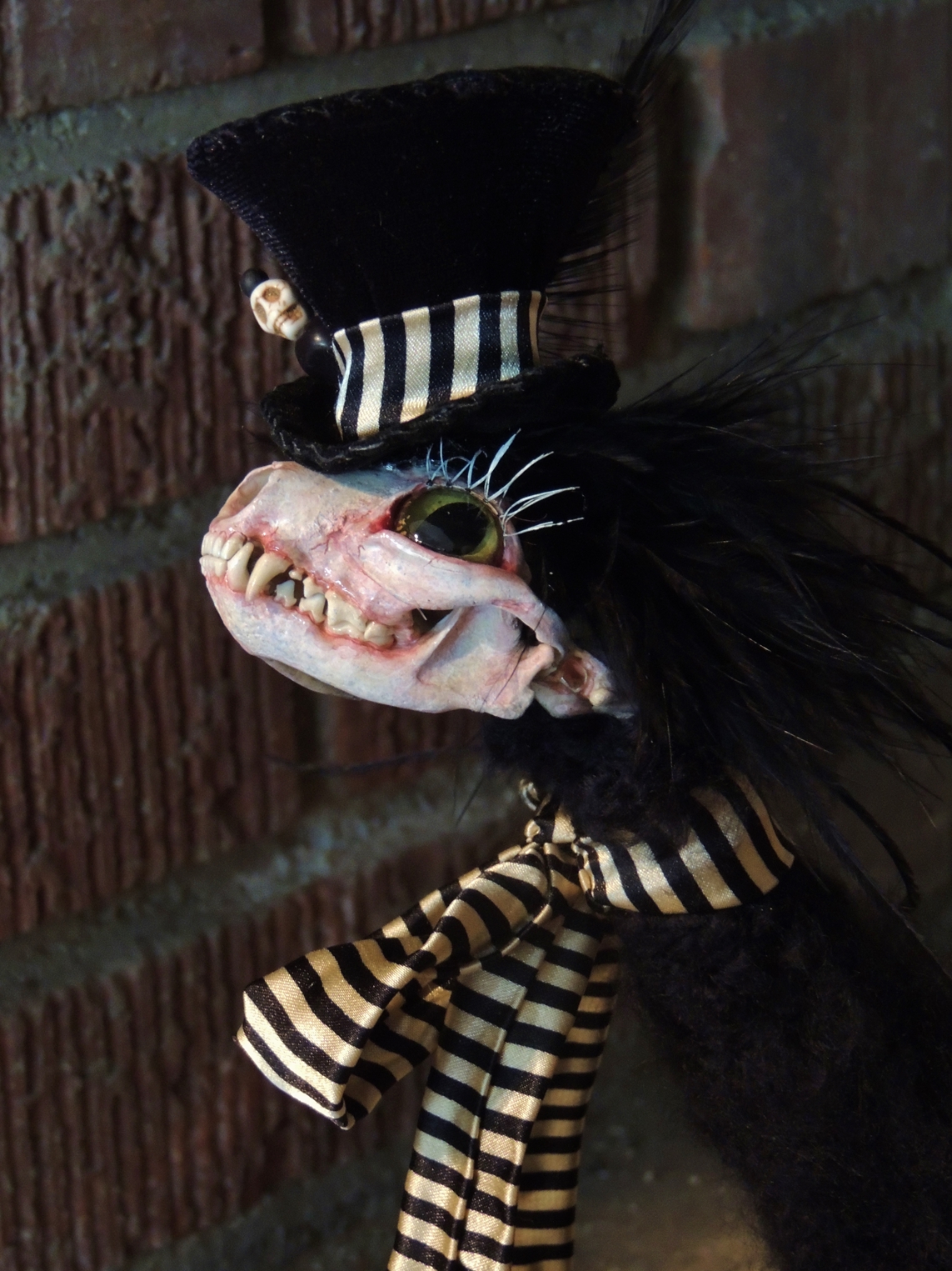 close-up gothic victorian dandy black furry fantasy animal creature with real skull head and doll feet wearing a top hat and a black and white striped ribbon